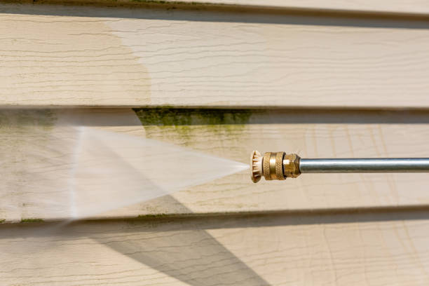 Best Power Washing Near Me  in Patton Village, TX